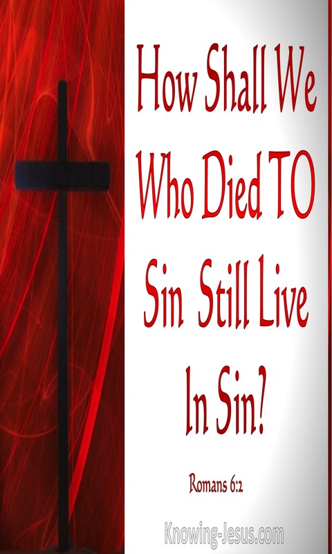 Romans 6:2 Dead To Sin (devotional)11-02 (red)